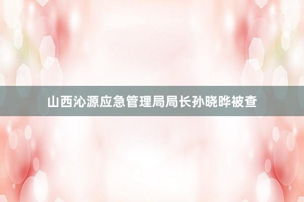 山西沁源应急管理局局长孙晓晔被查