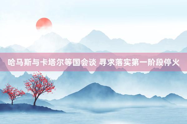 哈马斯与卡塔尔等国会谈 寻求落实第一阶段停火