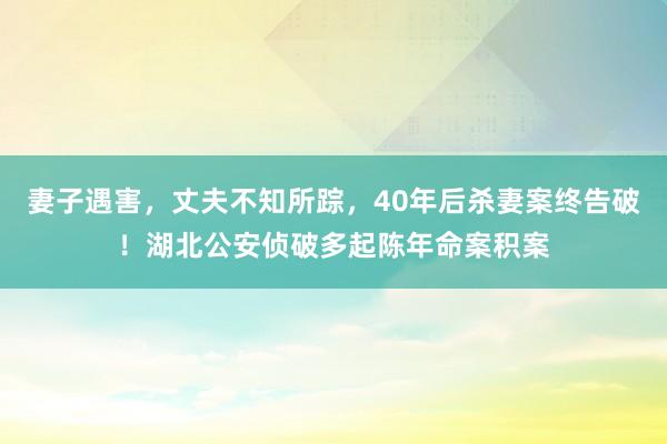 妻子遇害，丈夫不知所踪，40年后杀妻案终告破！湖北公安侦破多起陈年命案积案