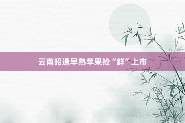云南昭通早熟苹果抢“鲜”上市