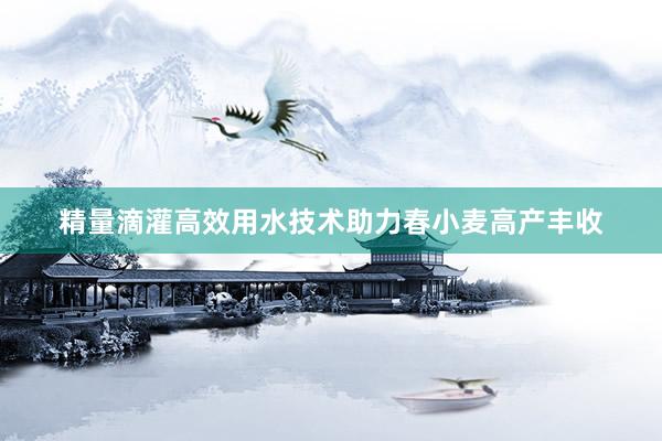 精量滴灌高效用水技术助力春小麦高产丰收