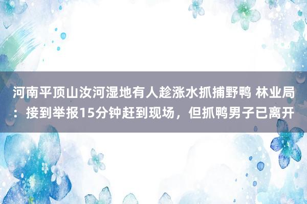 河南平顶山汝河湿地有人趁涨水抓捕野鸭 林业局：接到举报15分钟赶到现场，但抓鸭男子已离开