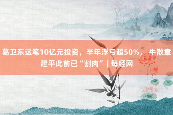 葛卫东这笔10亿元投资，半年浮亏超50%， 牛散章建平此前已“割肉” | 每经网