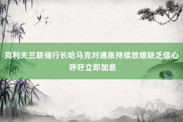 克利夫兰联储行长哈马克对通胀持续放缓缺乏信心 呼吁立即加息