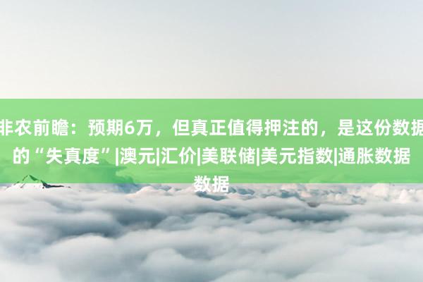 非农前瞻：预期6万，但真正值得押注的，是这份数据的“失真度”|澳元|汇价|美联储|美元指数|通胀数据