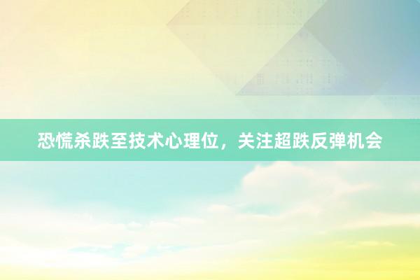 恐慌杀跌至技术心理位，关注超跌反弹机会