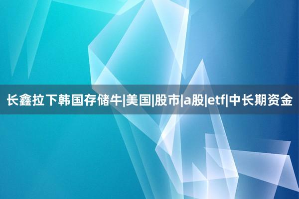 长鑫拉下韩国存储牛|美国|股市|a股|etf|中长期资金
