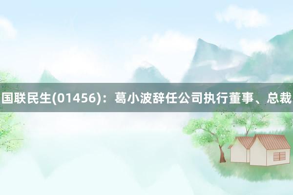 国联民生(01456)：葛小波辞任公司执行董事、总裁