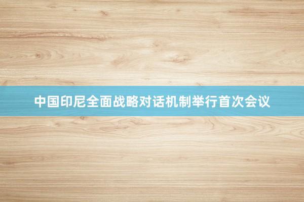 中国印尼全面战略对话机制举行首次会议