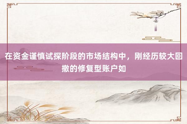 在资金谨慎试探阶段的市场结构中，刚经历较大回撤的修复型账户如