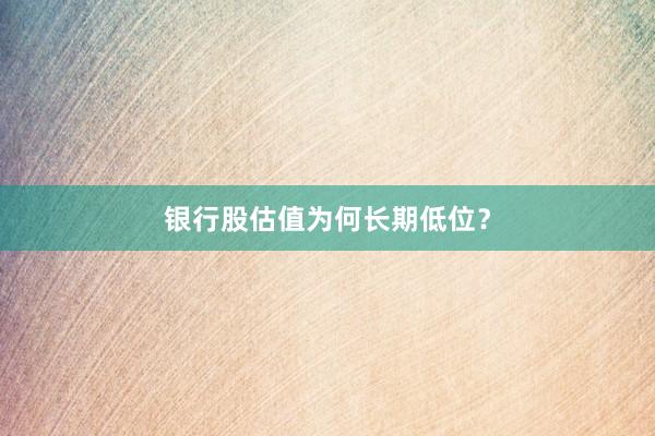 银行股估值为何长期低位？