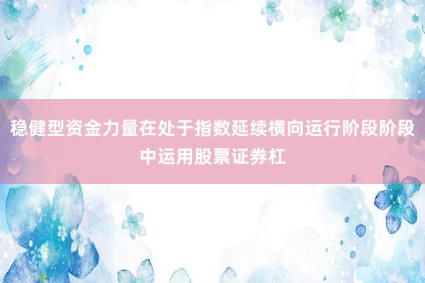 稳健型资金力量在处于指数延续横向运行阶段阶段中运用股票证券杠