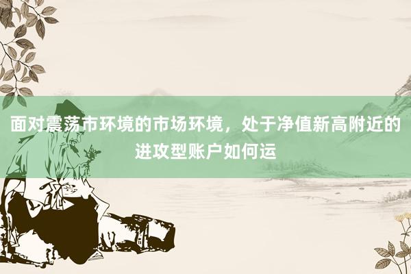 面对震荡市环境的市场环境，处于净值新高附近的进攻型账户如何运