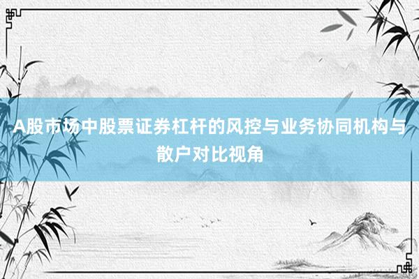 A股市场中股票证券杠杆的风控与业务协同机构与散户对比视角