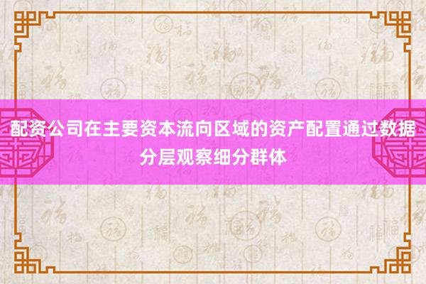 配资公司在主要资本流向区域的资产配置通过数据分层观察细分群体