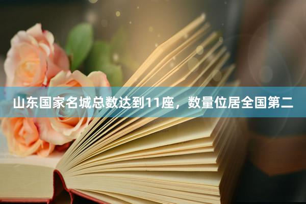 山东国家名城总数达到11座，数量位居全国第二