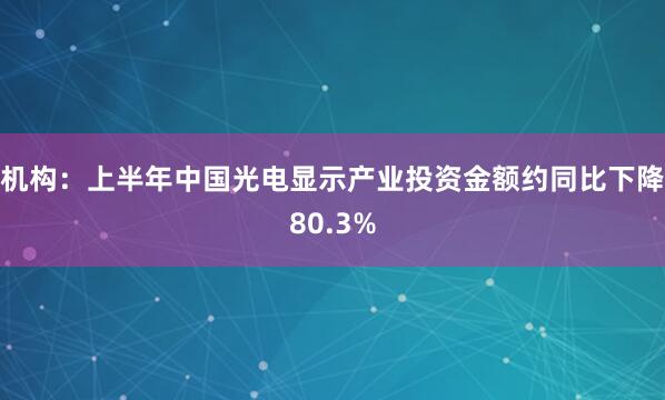 机构：上半年中国光电显示产业投资金额约同比下降80.3%