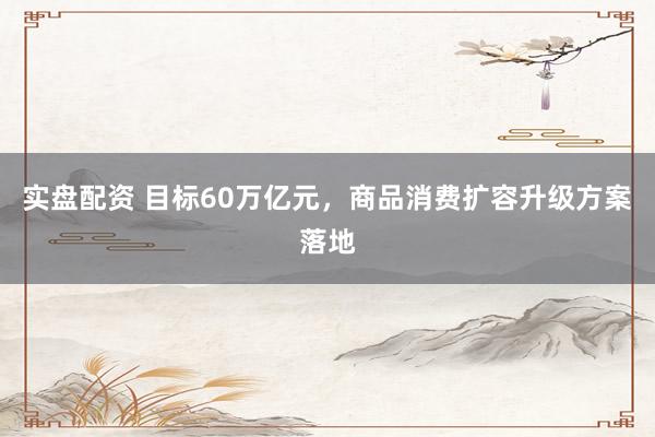 实盘配资 目标60万亿元，商品消费扩容升级方案落地