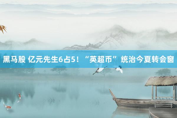 黑马股 亿元先生6占5！“英超币” 统治今夏转会窗