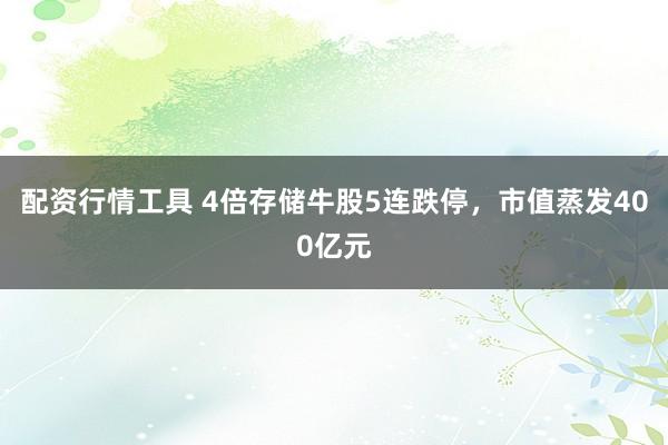 配资行情工具 4倍存储牛股5连跌停，市值蒸发400亿元