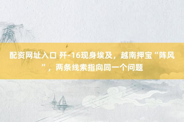 配资网址入口 歼-16现身埃及，越南押宝“阵风”，两条线索指向同一个问题