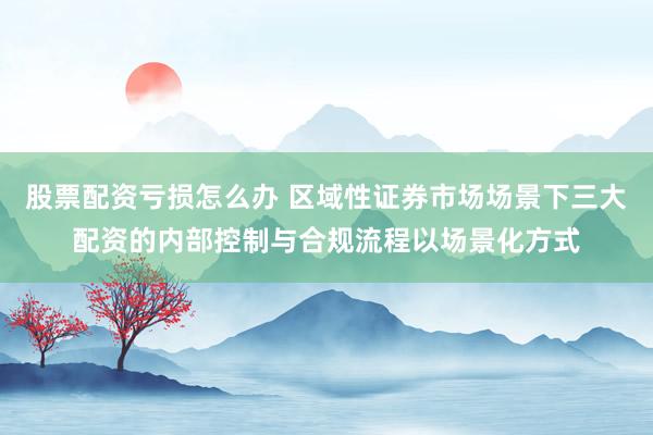 股票配资亏损怎么办 区域性证券市场场景下三大配资的内部控制与合规流程以场景化方式