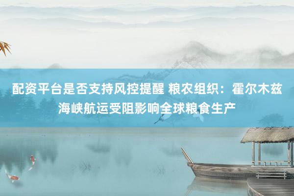 配资平台是否支持风控提醒 粮农组织：霍尔木兹海峡航运受阻影响全球粮食生产