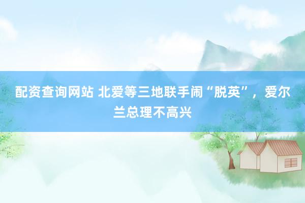 配资查询网站 北爱等三地联手闹“脱英”，爱尔兰总理不高兴