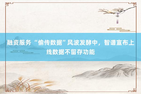 融资服务 “偷传数据”风波发酵中，智谱宣布上线数据不留存功能