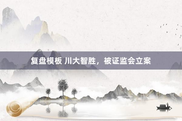 复盘模板 川大智胜，被证监会立案