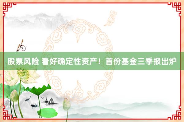 股票风险 看好确定性资产！首份基金三季报出炉