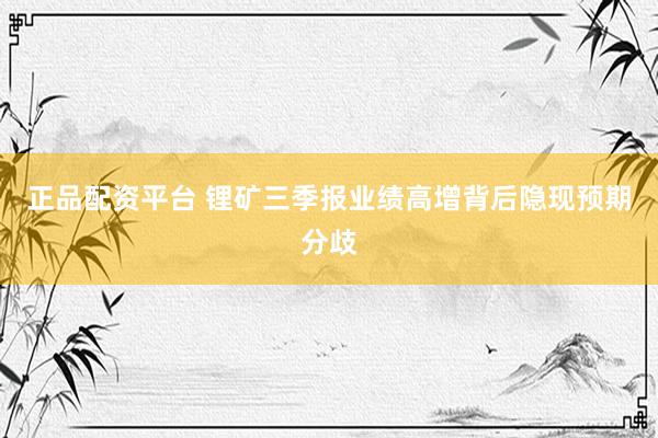 正品配资平台 锂矿三季报业绩高增背后隐现预期分歧